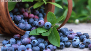 Blueberry